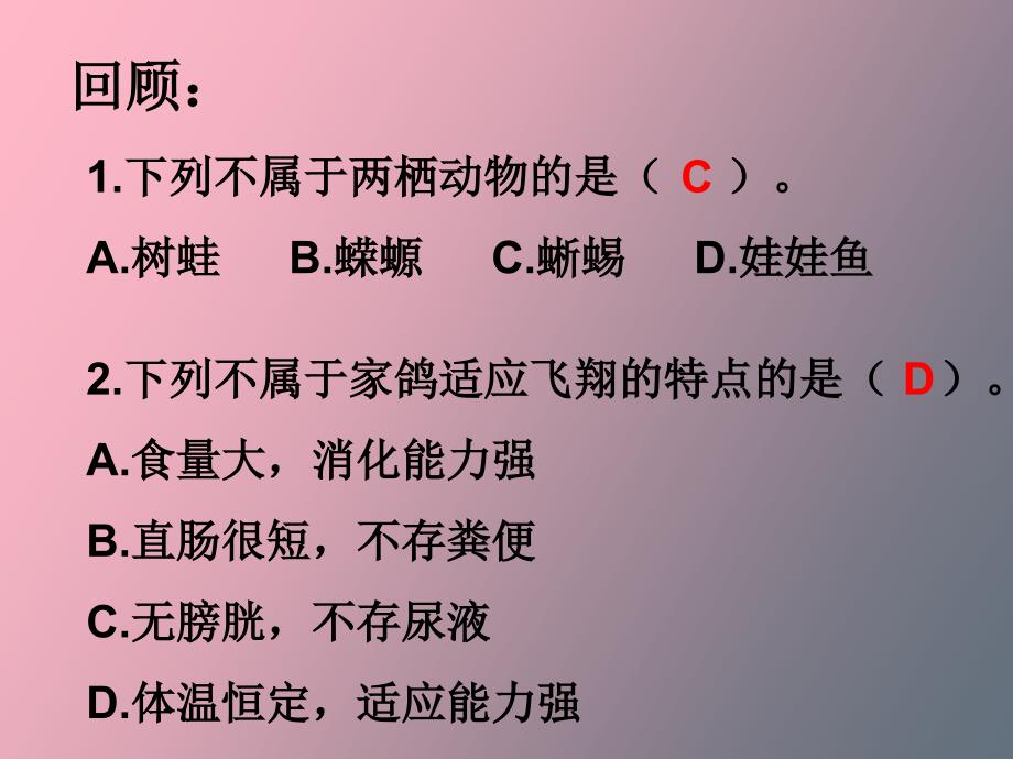 常见的动物第三课时_第1页