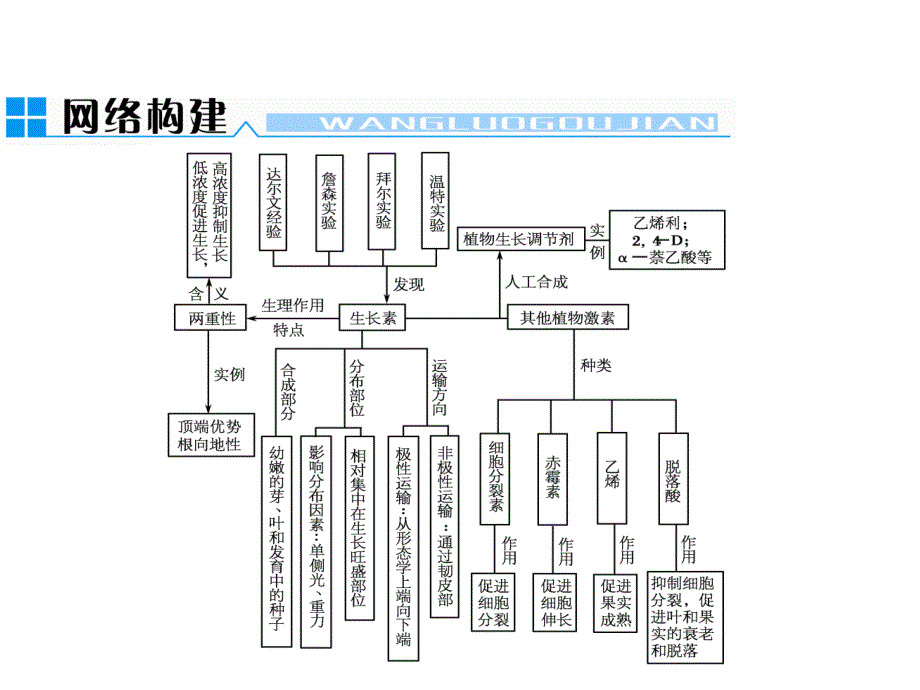 植物激素、植物生长调节剂_第1页