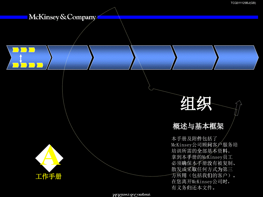 007某咨询—某咨询组织咨询手册_第1页