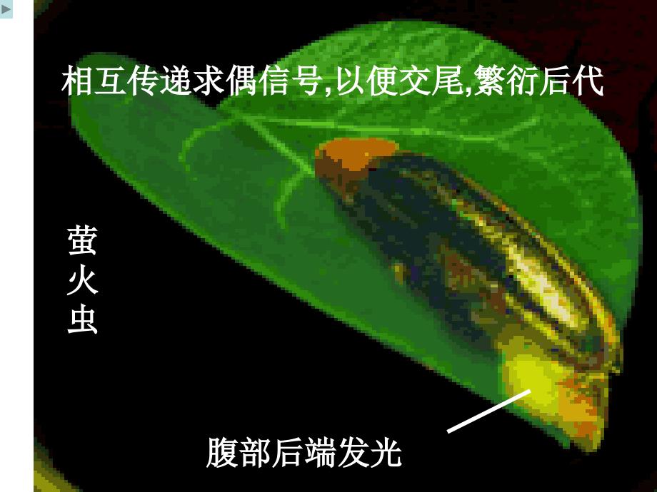 生物细胞的能量通货A_第1页