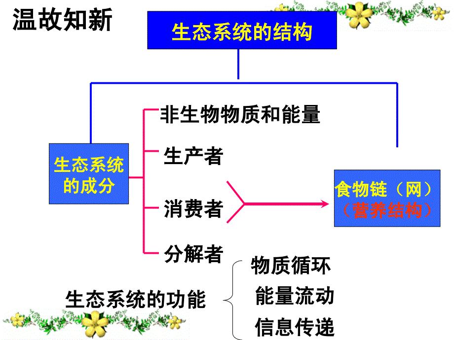 生态系统的稳定性公开课_第1页