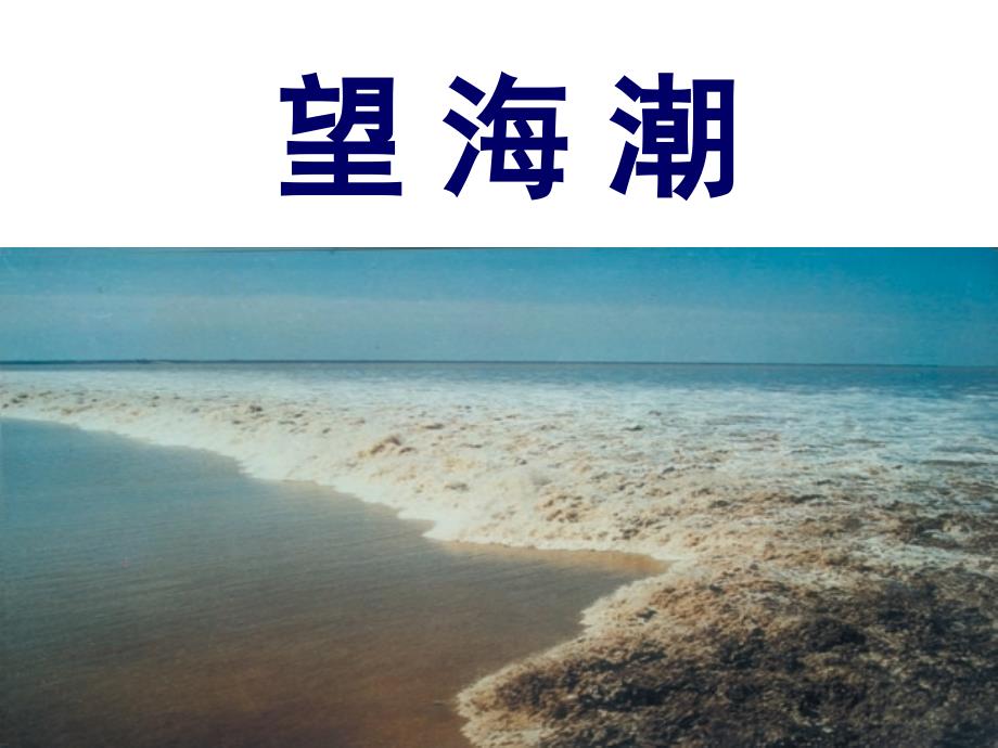 柳永《望海潮》公开课优秀课件_第1页