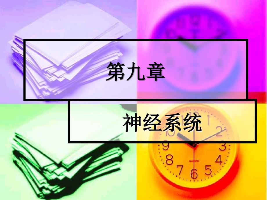 生理学课件第九章神经系统_第1页