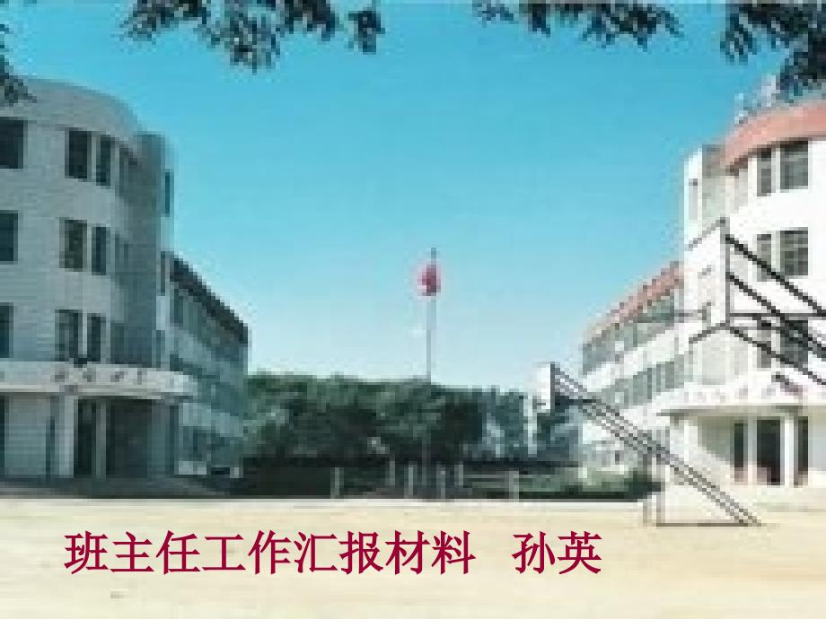 班主任工作汇报材料_第1页