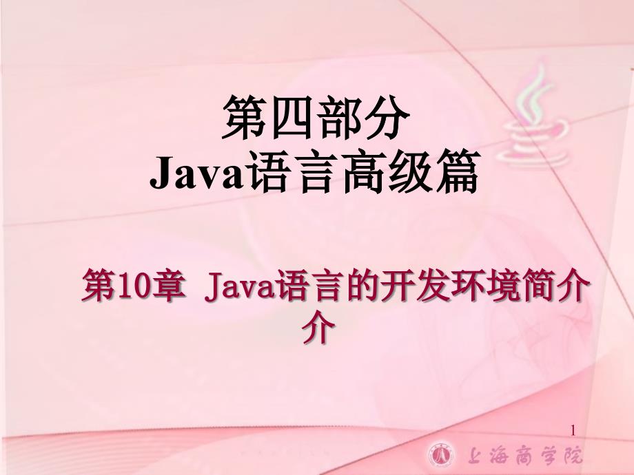 Java语言的开发环境简介_第1页