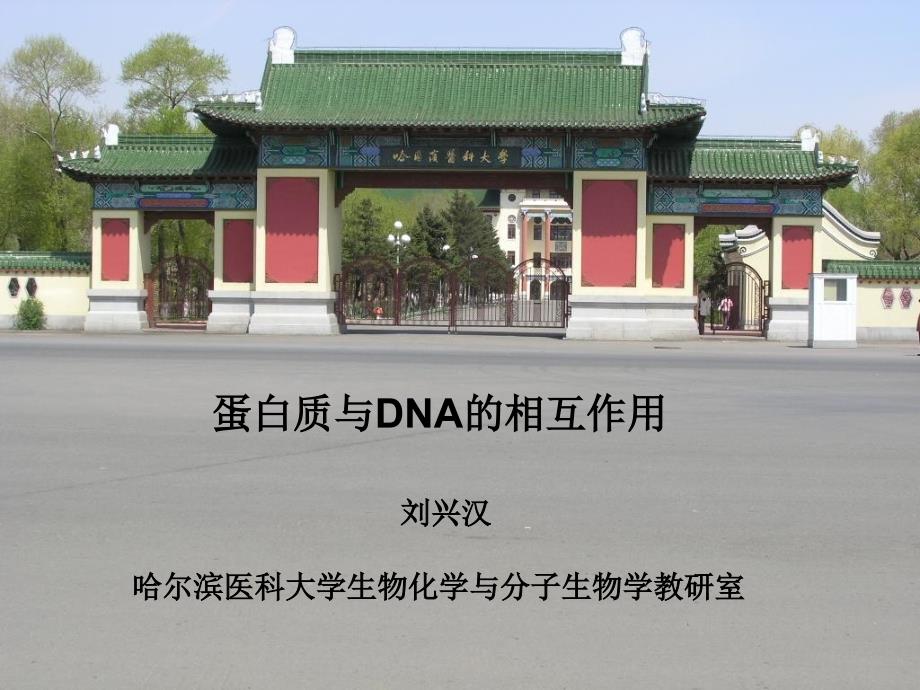 蛋白质与DNA的相互作用_第1页