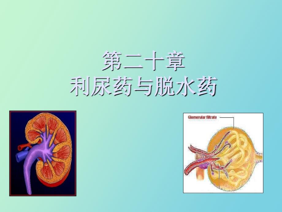 药理学课件第二十章利尿药和脱水药_第1页