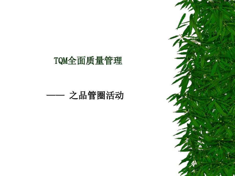 TQM全面质量管理22181556_第1页