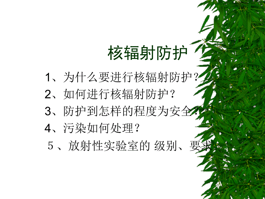 部分核辐射防护_第1页