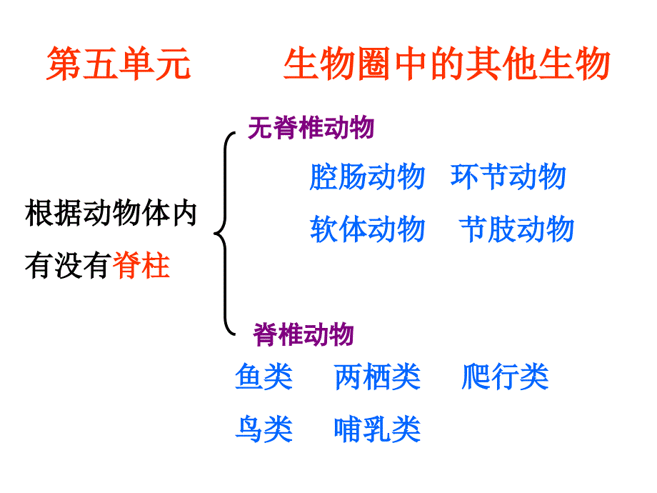 八年级生物上册总复习课件(很实用)_第1页