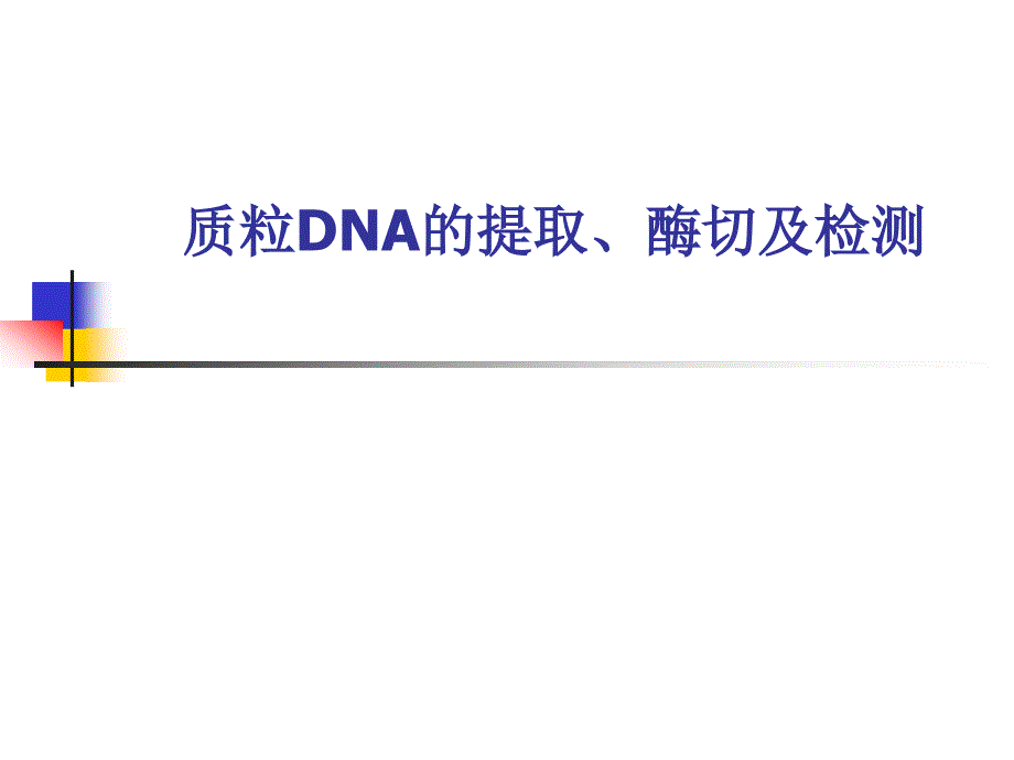 质粒DNA的提取、酶切及检测_第1页