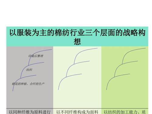 德隆棉麻產業(yè)整體戰(zhàn)略構想