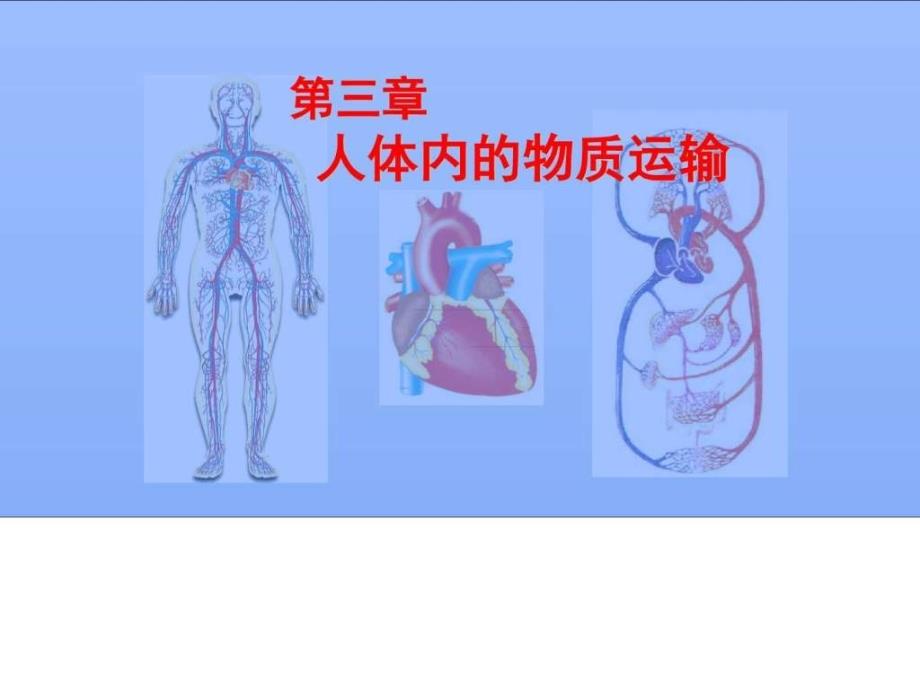 人体内的物质运输 (2)_第1页