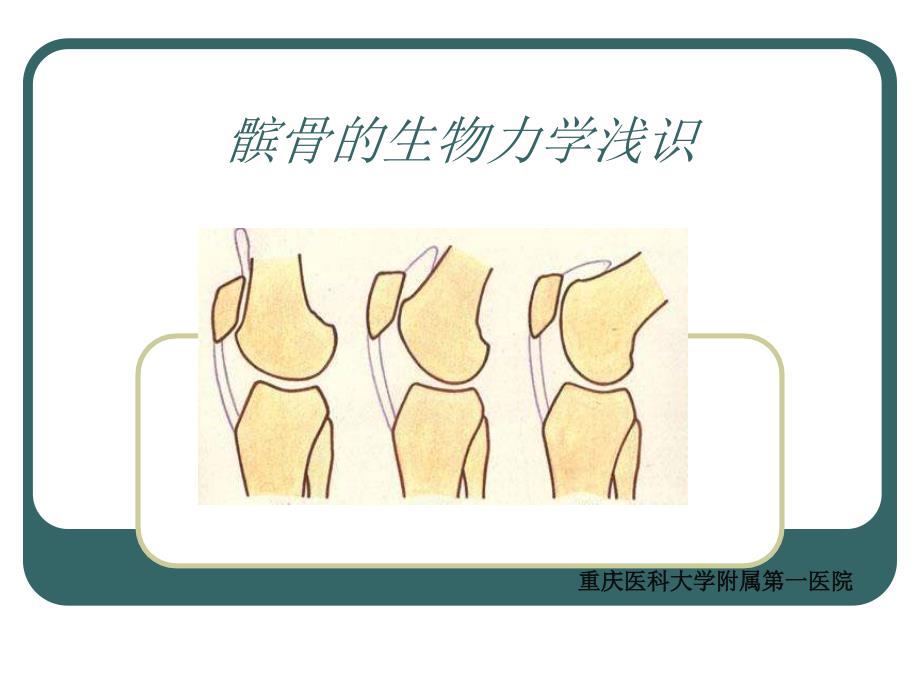 髌股关节生物力学浅识_第1页