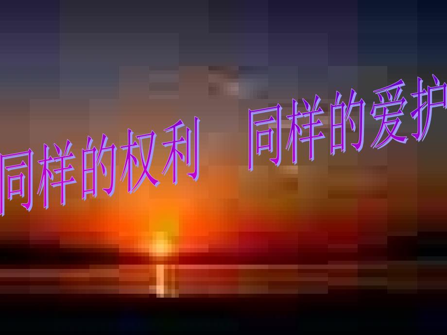 《同样的权利同样的爱护》课件_第1页