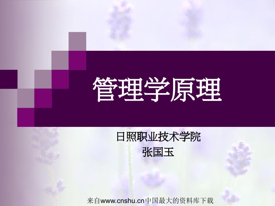 [管理学原理]领导职能(ppt 40页)_第1页