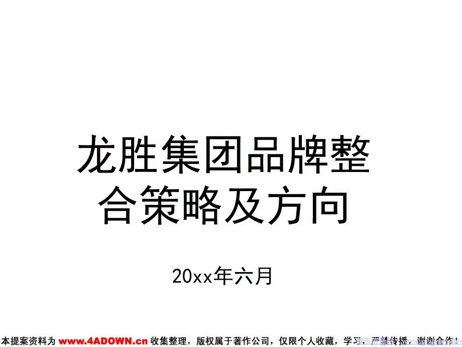 龍勝集團(tuán)品牌整合策略及方向_第1頁