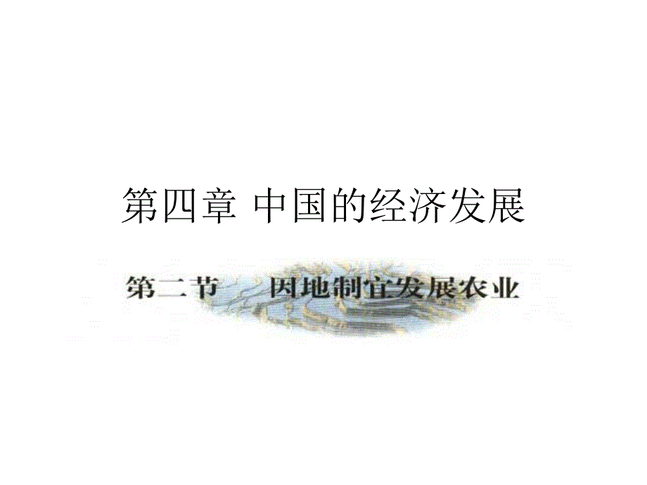 地理因地制宜发展农业_第1页