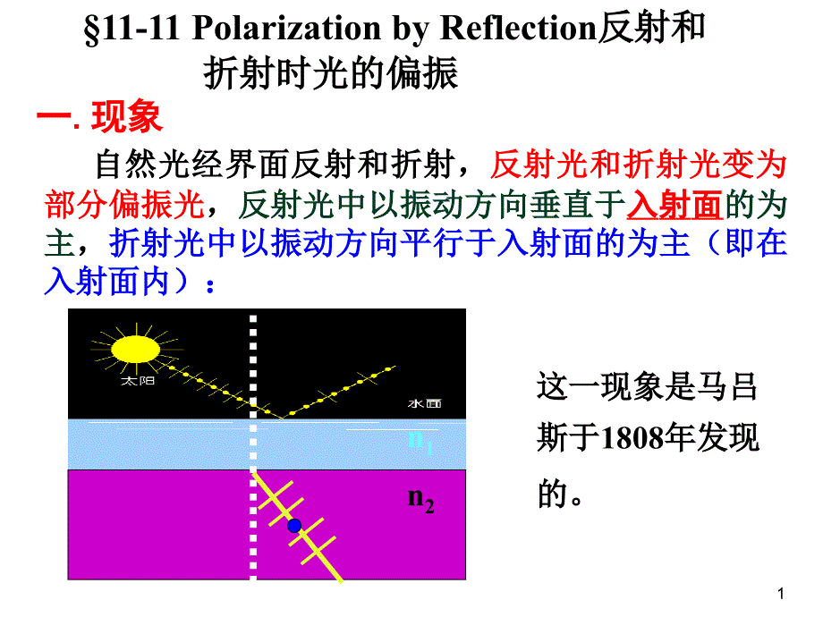 反射光和折射光的偏振_第1页