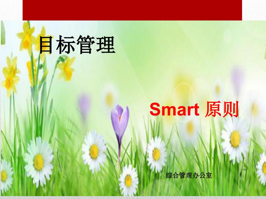 目标管理-smart原则_第1页