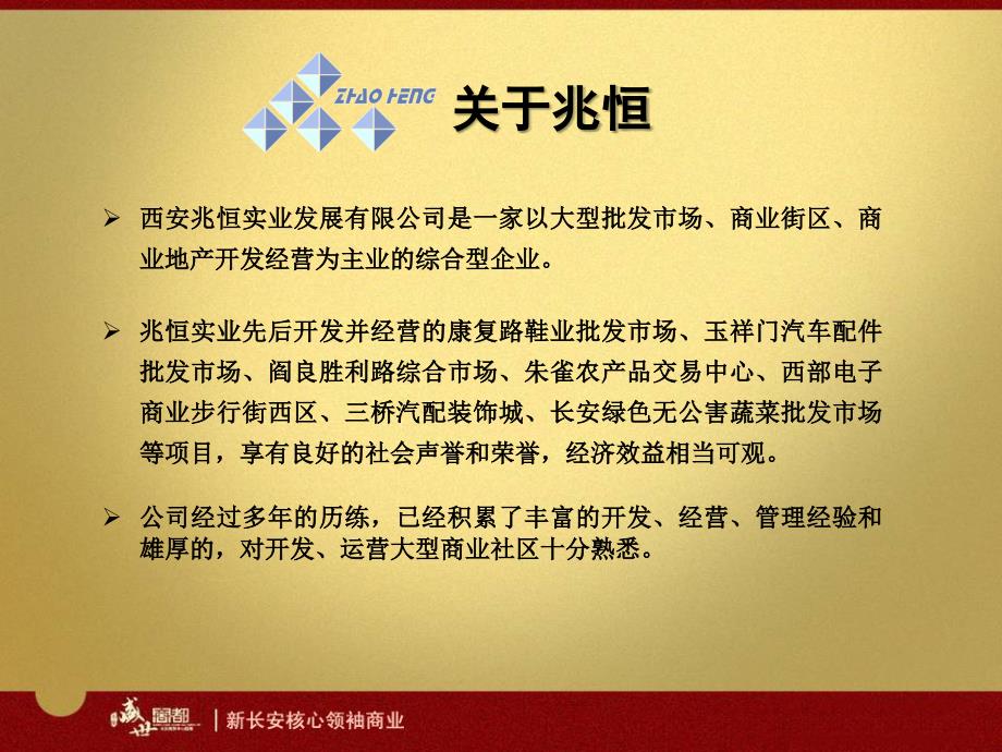 盛世商都与民生合作联合开发商业项目说明_第1页