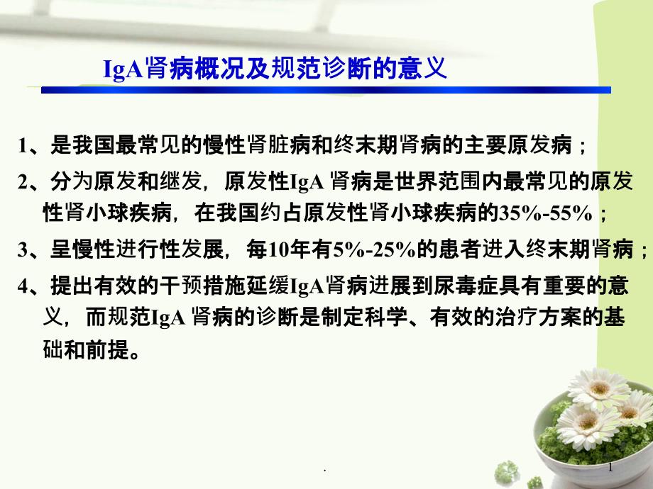 IgA肾病中医辨证分型的实践指南课件_第1页