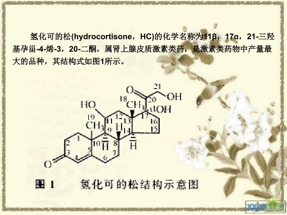 氫化可的松hydrocortisone_第1頁(yè)