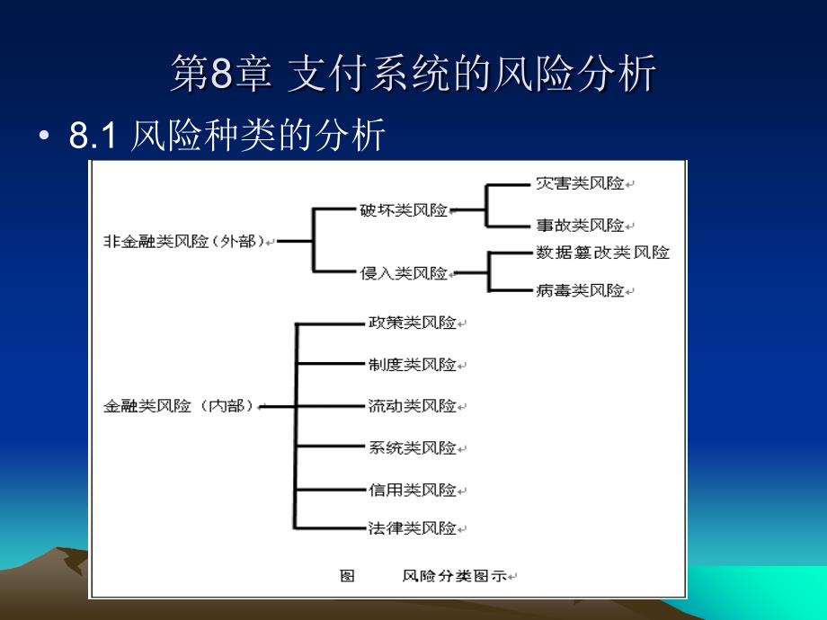 支付系统的风险_第1页