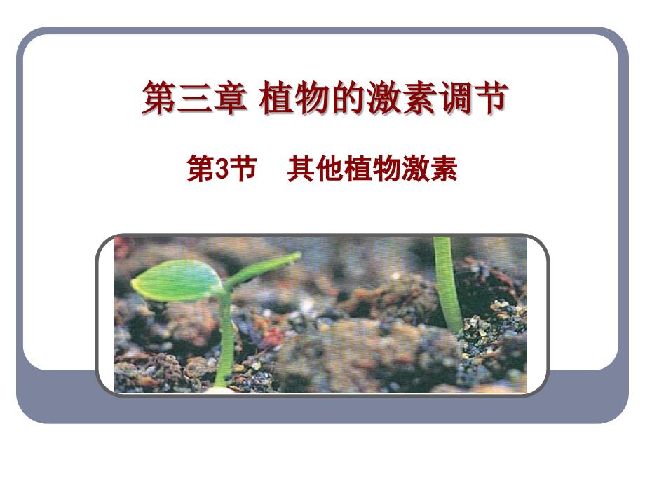 3-3其他植物激素(精品)_第1页