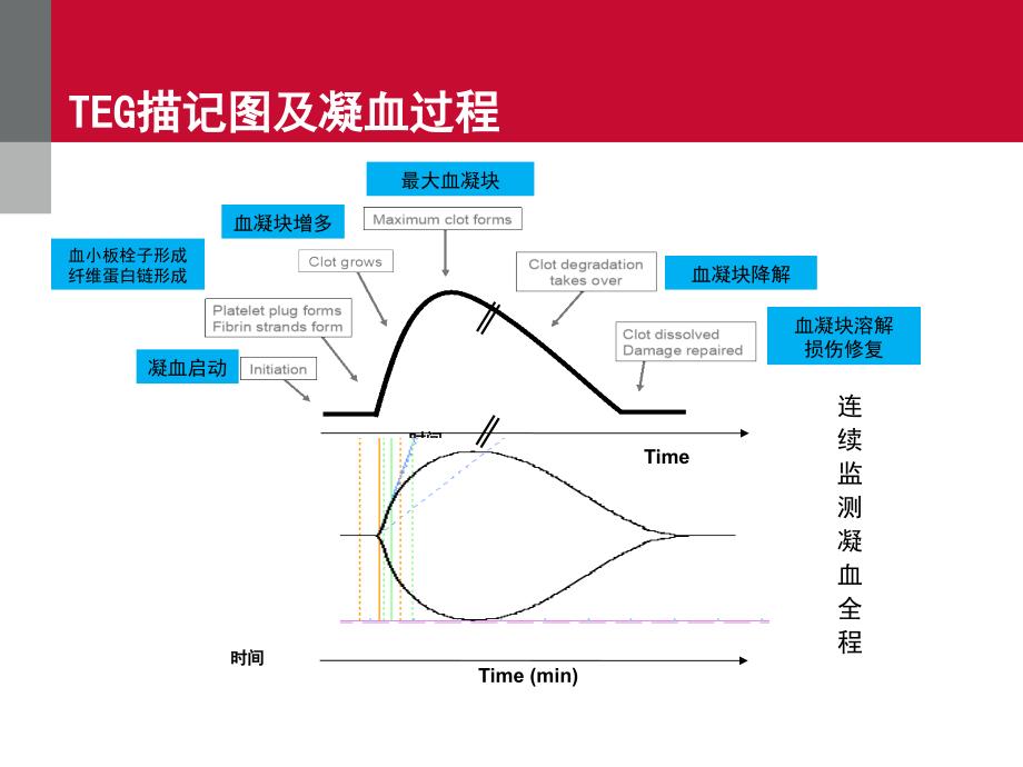 TEG血栓彈力圖的臨床應(yīng)用課件_第1頁(yè)