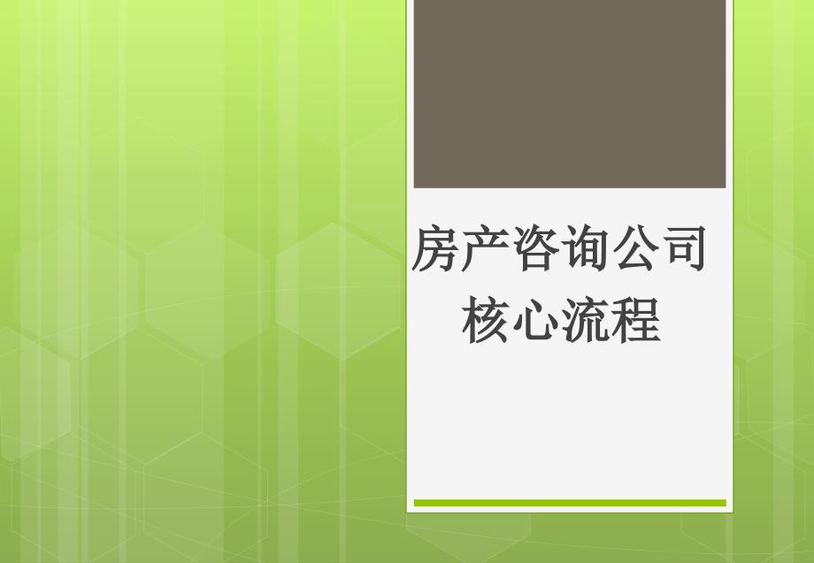 房产咨询公司核心流程_第1页