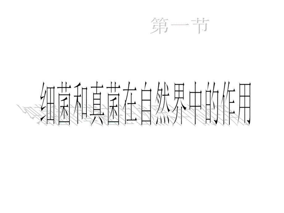 细菌和真菌的作用_第1页