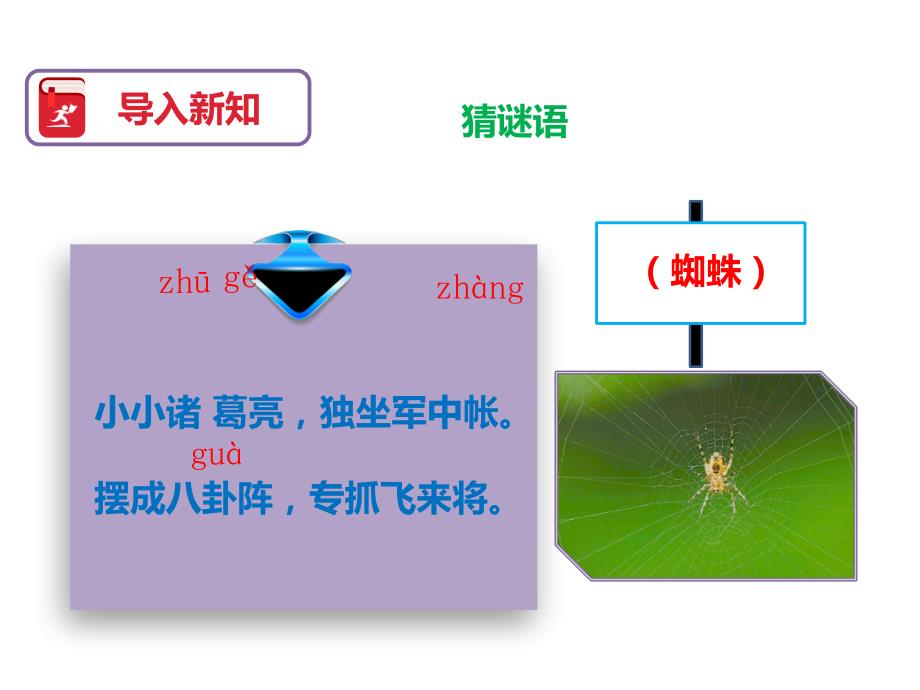 人教部编版《蜘蛛开店》实用课件1_第1页