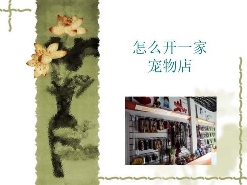 怎么開一家寵物店