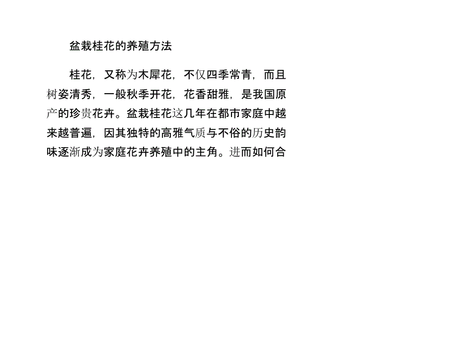 盆栽桂花的养殖方法_第1页