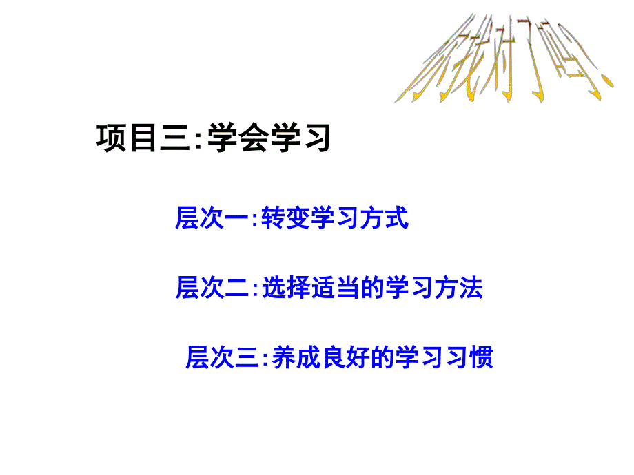 知识让人生更亮丽-学会学习_第1页