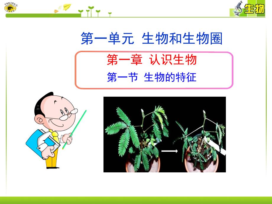 生物的特征 (2)(精品)_第1页