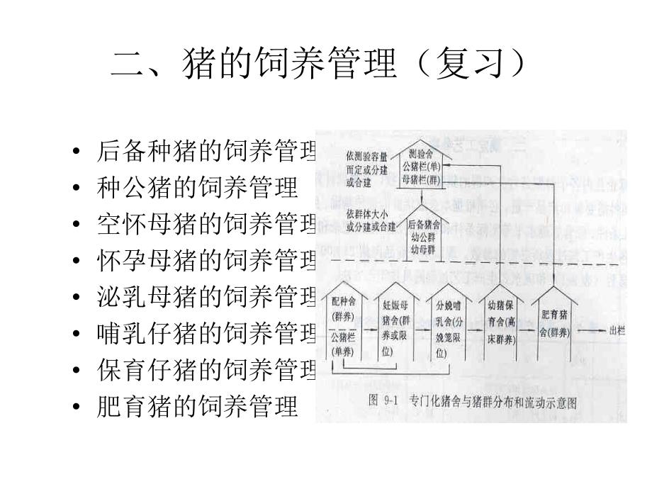 二、豬的飼養(yǎng)管理_第1頁