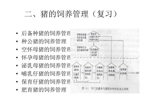 二、豬的飼養(yǎng)管理