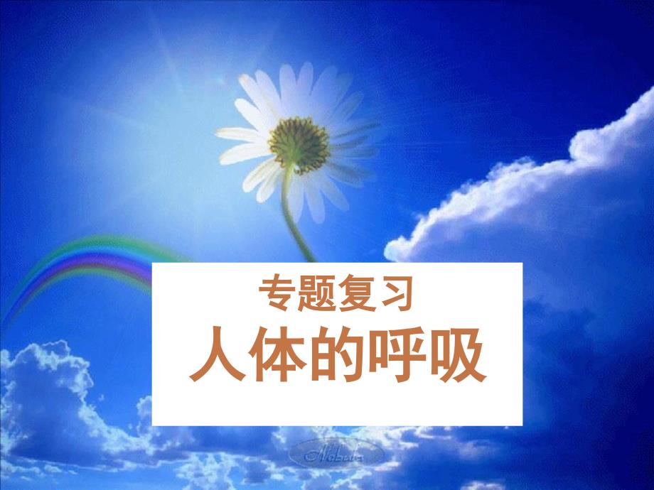 11《人体的呼吸》复习用课件_第1页