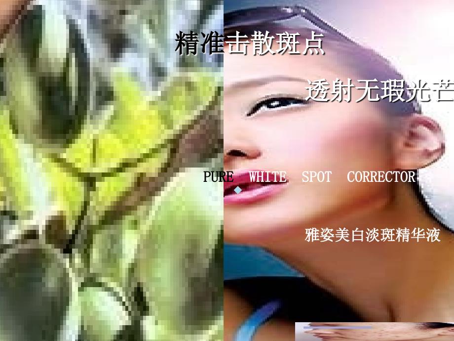 雅姿美白淡斑精华液培训课件_第1页