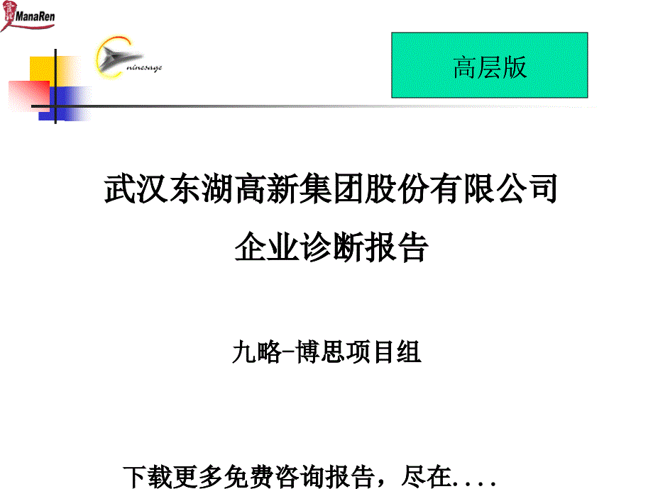 九略-武漢東湖高新-集團(tuán)內(nèi)部診斷報(bào)告_第1頁(yè)