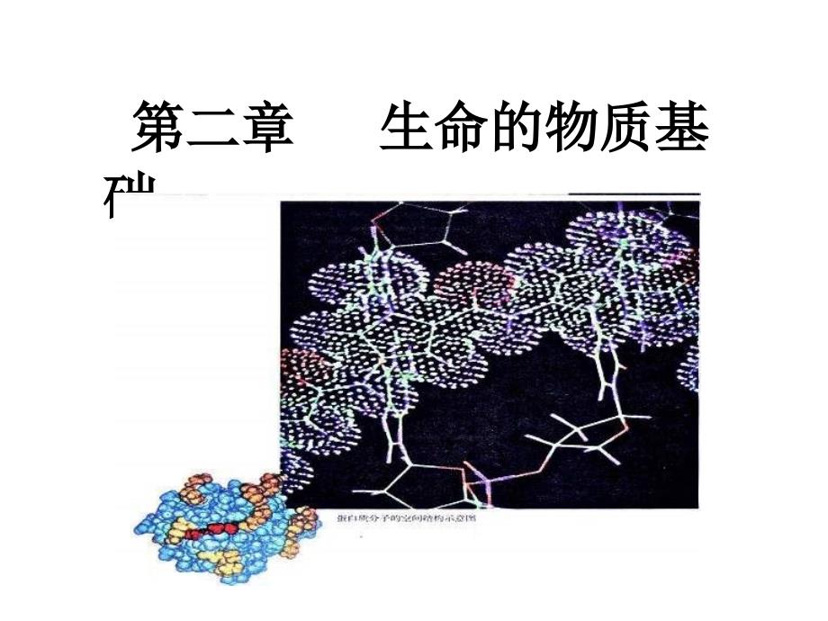 高一生物生命的物质基础_第1页