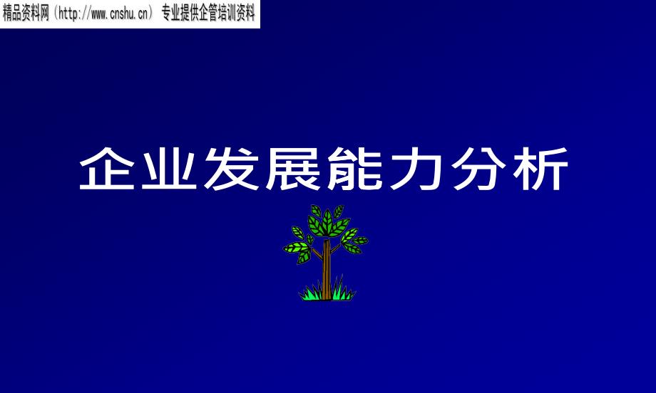 企业发展能力全面分析_第1页