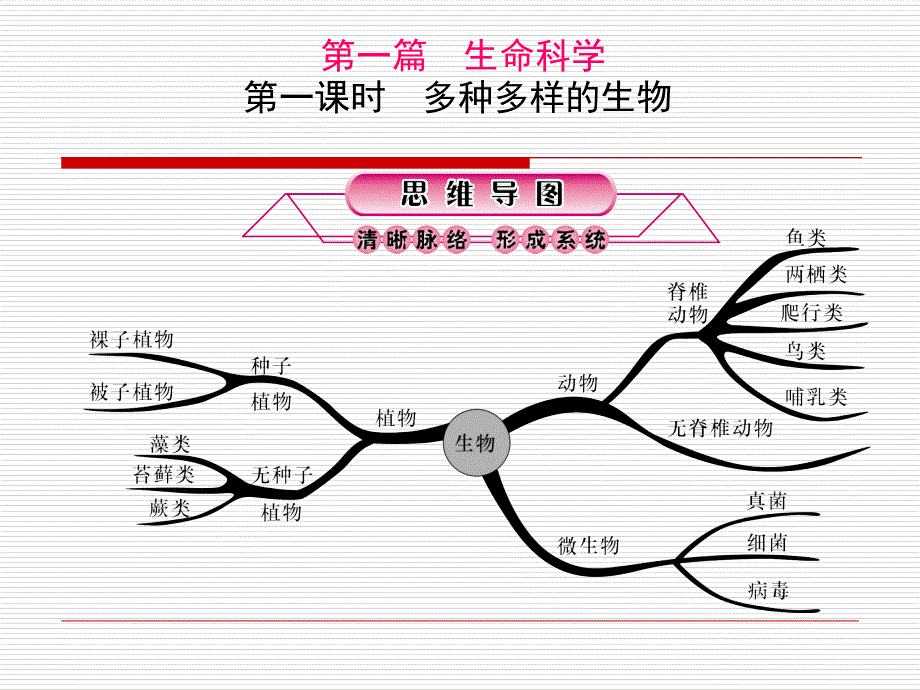 课时多种多样的生物_第1页