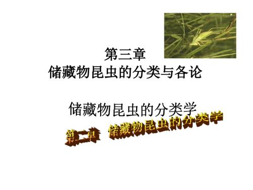 《害蟲(chóng)防治中專(zhuān)》課件