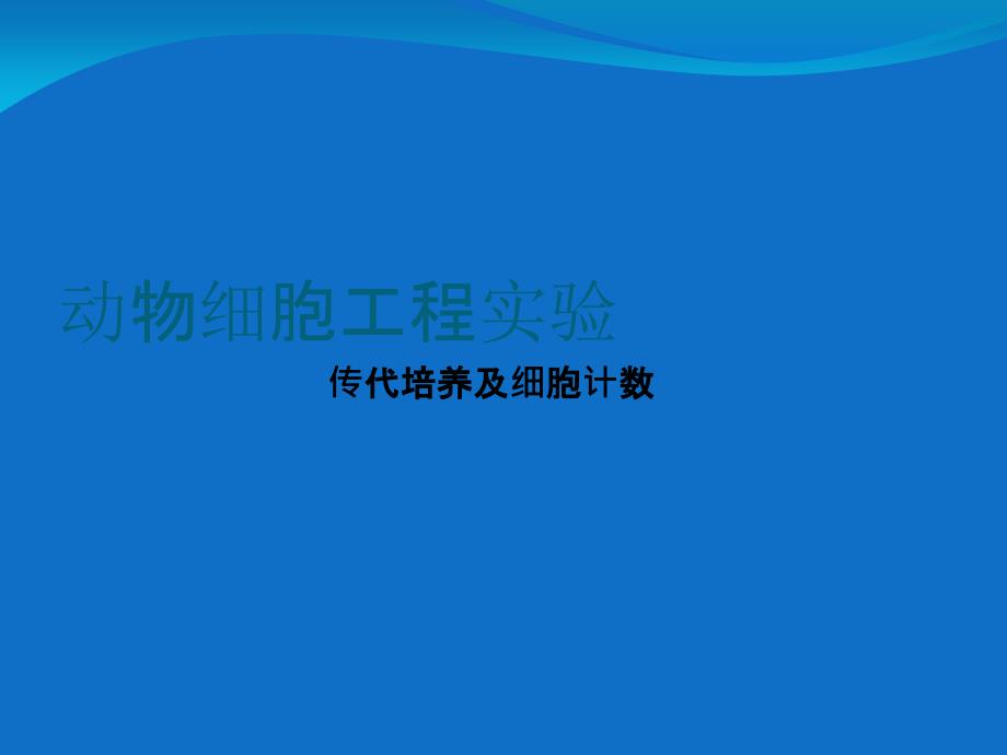 传代培养及细胞计数_第1页