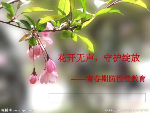 中學(xué)生預(yù)防性侵——花開無聲守護綻放1