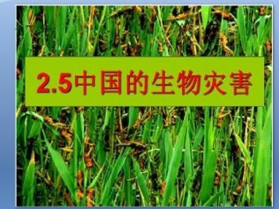 第五节　中国的生物灾害_第1页