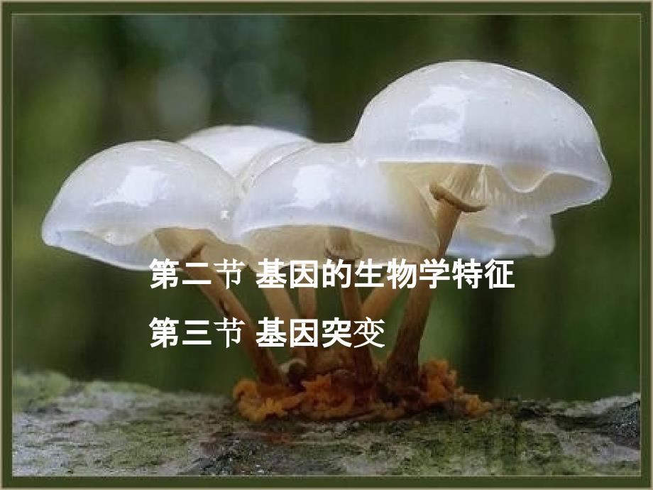 基因的生物學(xué)特征和基因突變_第1頁(yè)